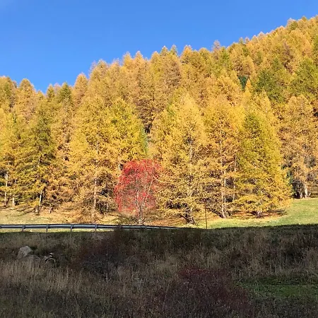 6 Couchages La Foux D'allos Allos